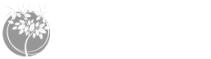 Thenaranjitacompany